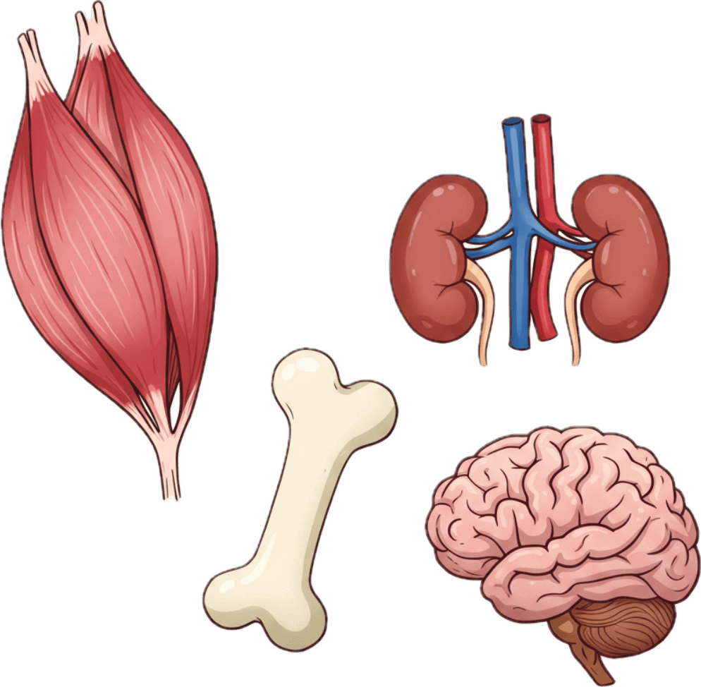 Beneficios de Immunocal